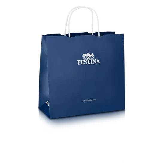 Orologio Festina Classics F16374/9 Argento con Cinturino in Acciaio, Uomo