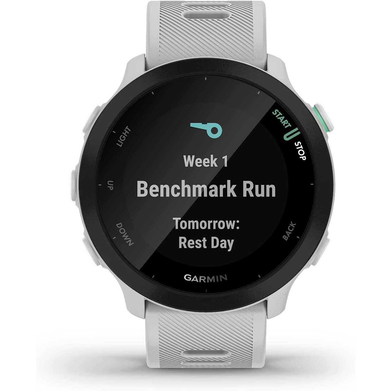 Garmin Forerunner 55 (Whitestone), Smartwatch running con GPS, Cardio, Piani di allenamento inclusi, VO2max, Allenamenti personalizzati, Garmin Connect IQ, Taglia unica Whitestone Single